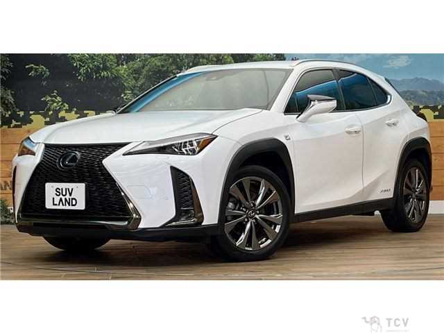 2019 Lexus Other