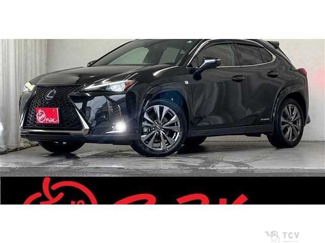 2019 Lexus Other