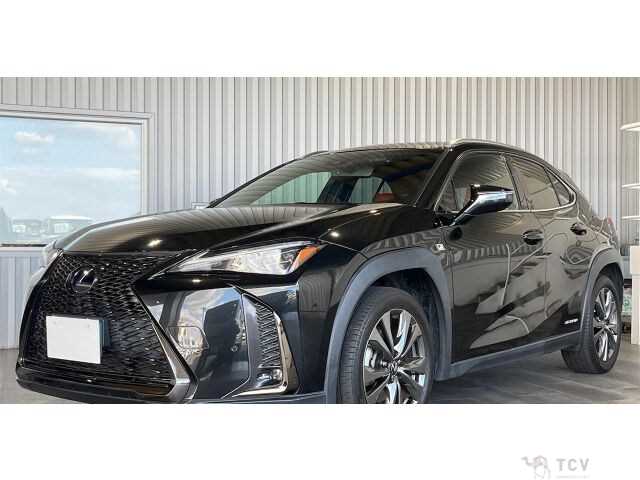 2019 Lexus Other