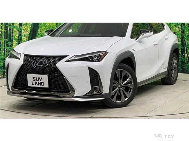2019 Lexus Other