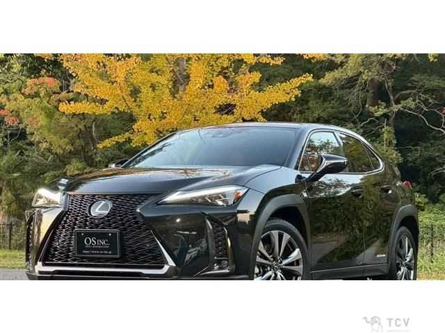 2019 Lexus Other