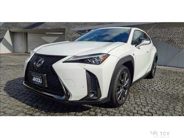 2019 Lexus Other