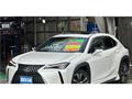 2019 Lexus Other