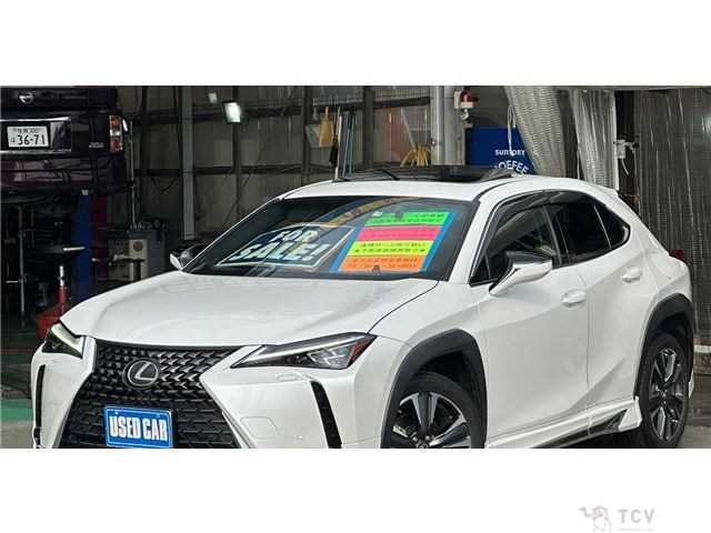 2019 Lexus Other