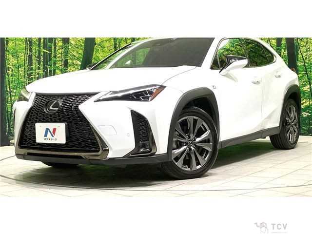 2018 Lexus Other