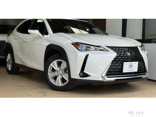 2018 Lexus Other