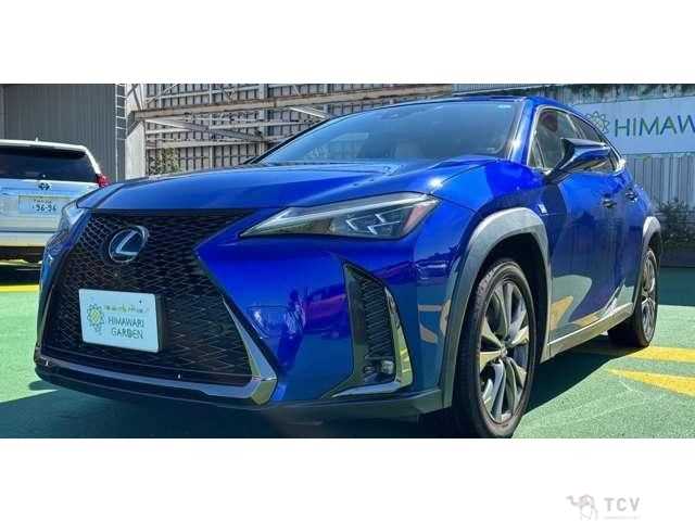 2018 Lexus Other