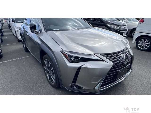 2018 Lexus Other