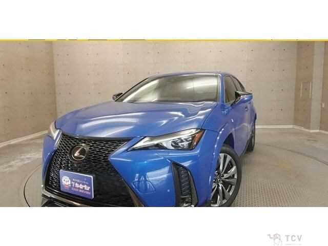 2018 Lexus Other