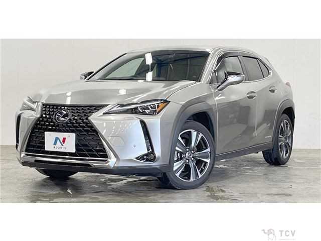 2018 Lexus Other