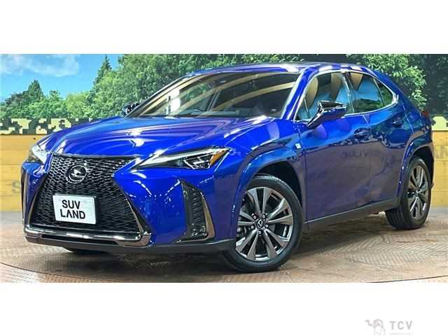 2018 Lexus Other