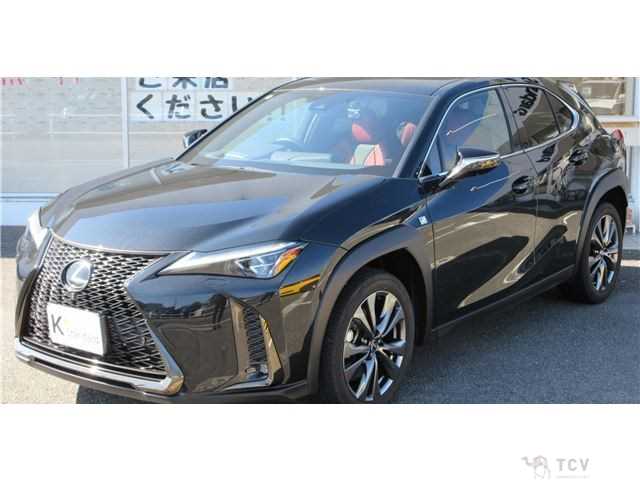 2018 Lexus Other