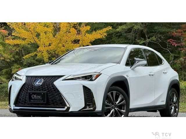 2018 Lexus Other