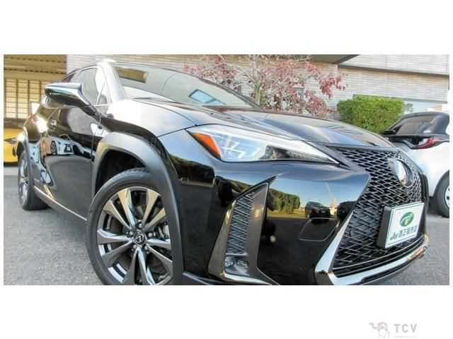 2018 Lexus Other