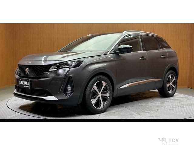 2021 Peugeot 3008