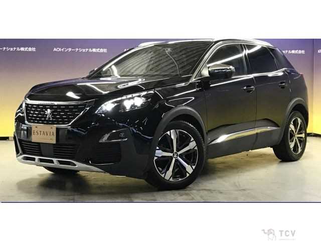 2019 Peugeot 3008
