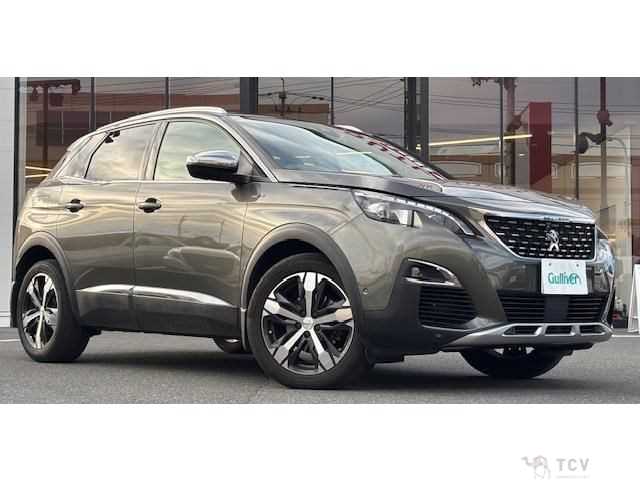 2019 Peugeot 3008