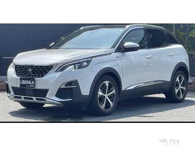 2019 Peugeot 3008