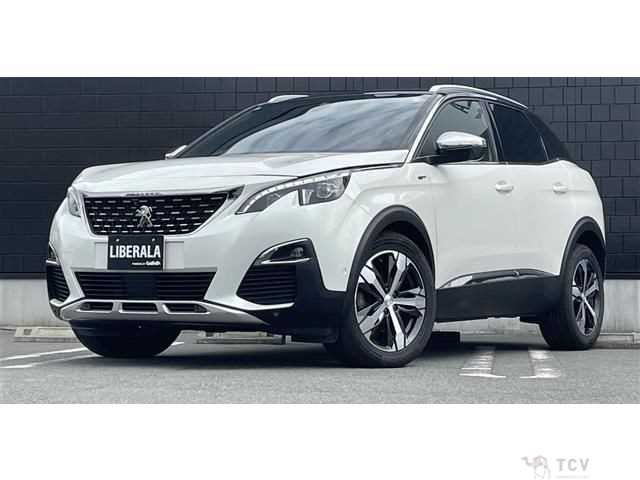 2019 Peugeot 3008