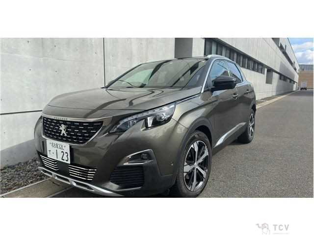 2019 Peugeot 3008