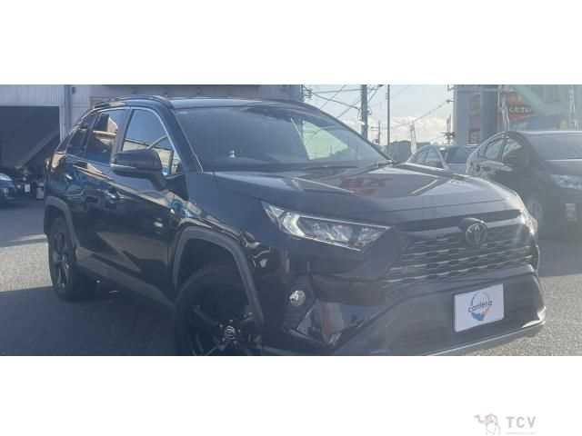 2019 Toyota RAV4