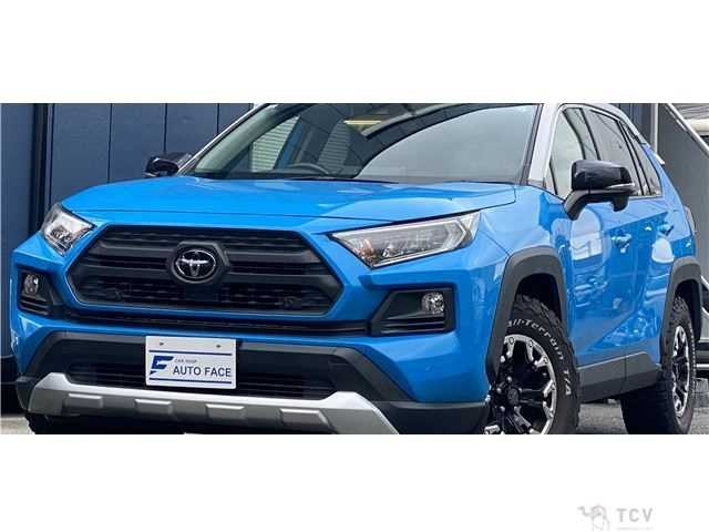 2019 Toyota RAV4