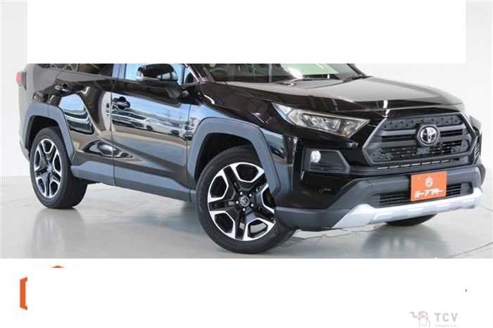 2019 Toyota RAV4