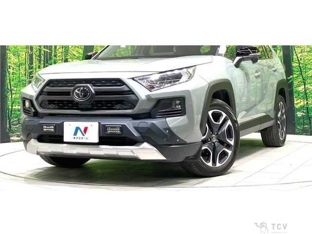 2019 Toyota RAV4