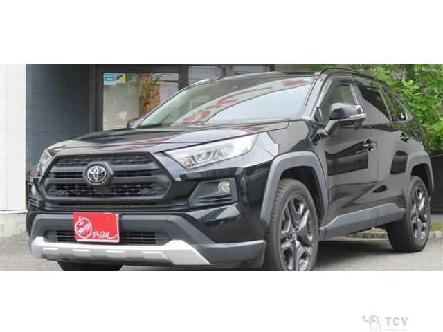 2019 Toyota RAV4