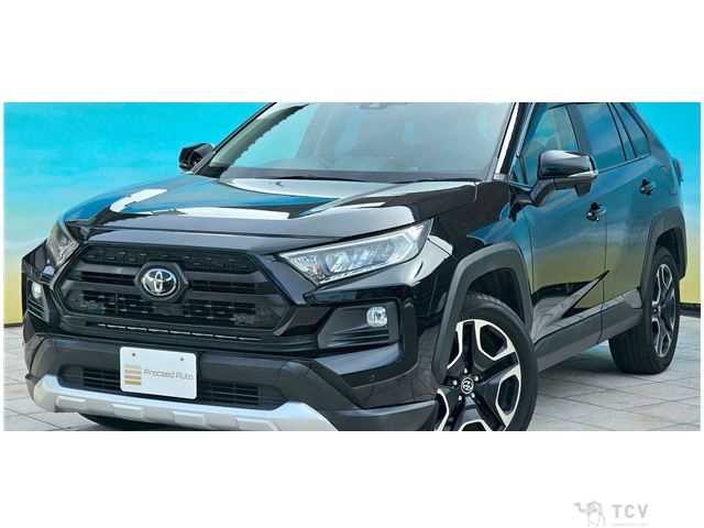 2019 Toyota RAV4