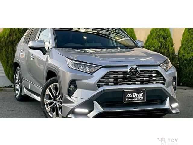2019 Toyota RAV4