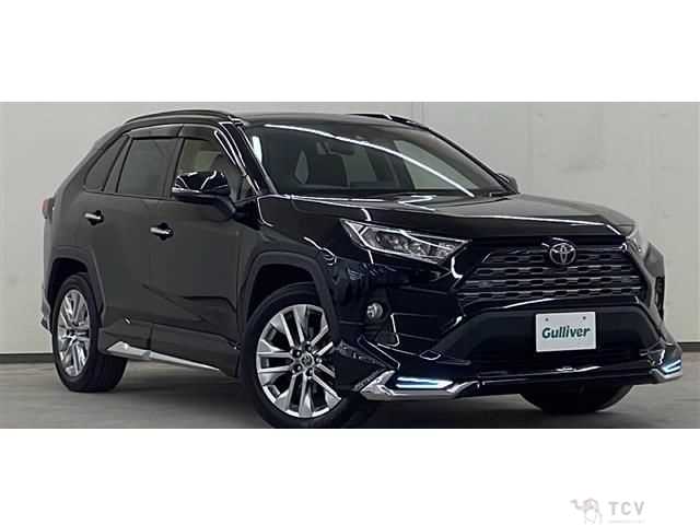 2019 Toyota RAV4