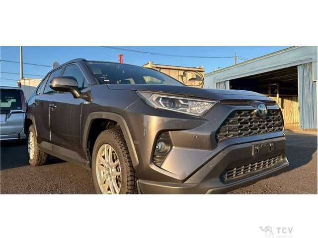 2020 Toyota RAV4