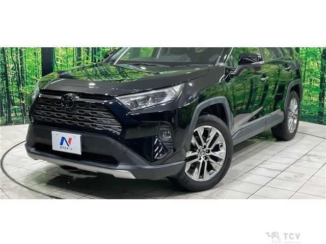 2020 Toyota RAV4