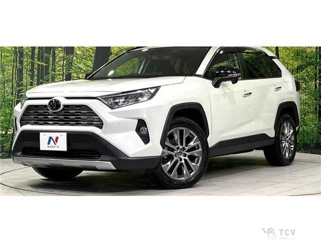 2020 Toyota RAV4