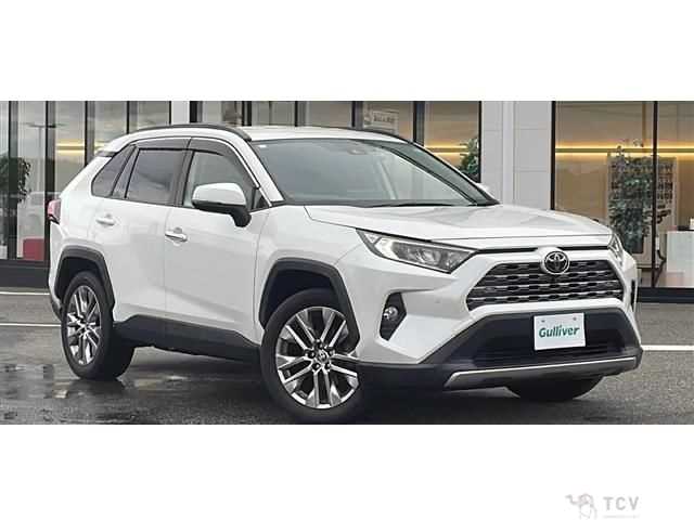 2020 Toyota RAV4