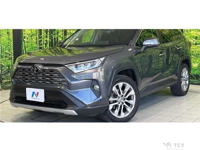 2020 Toyota RAV4