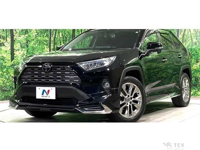 2020 Toyota RAV4