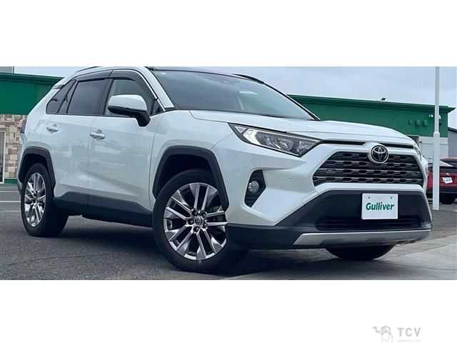 2020 Toyota RAV4