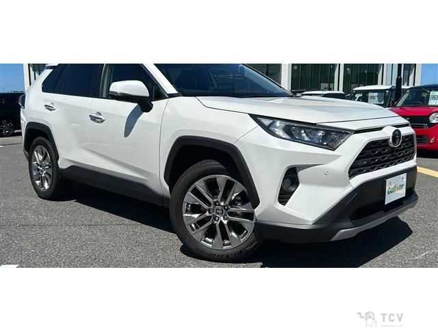 2020 Toyota RAV4