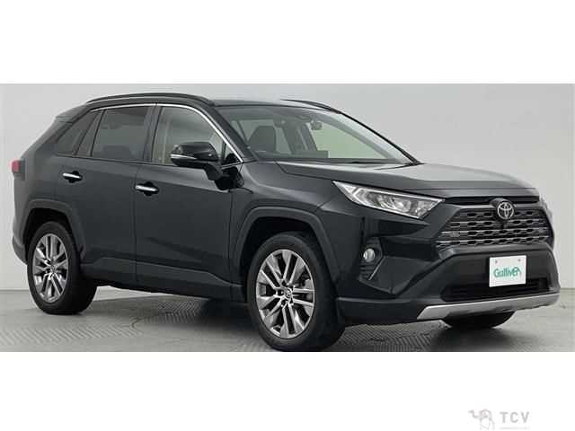 2020 Toyota RAV4