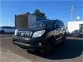 2013 Toyota Land Cruiser Prado