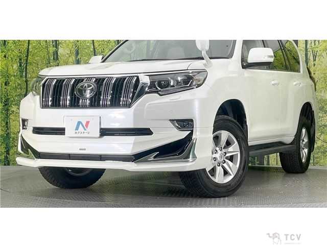 2019 Toyota Land Cruiser Prado