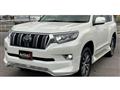 2019 Toyota Land Cruiser Prado