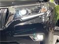 2019 Toyota Land Cruiser Prado
