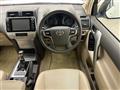 2019 Toyota Land Cruiser Prado