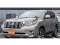2019 Toyota Land Cruiser Prado
