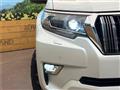 2019 Toyota Land Cruiser Prado