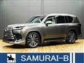 2024 Lexus LX