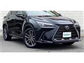 2025 Lexus NX